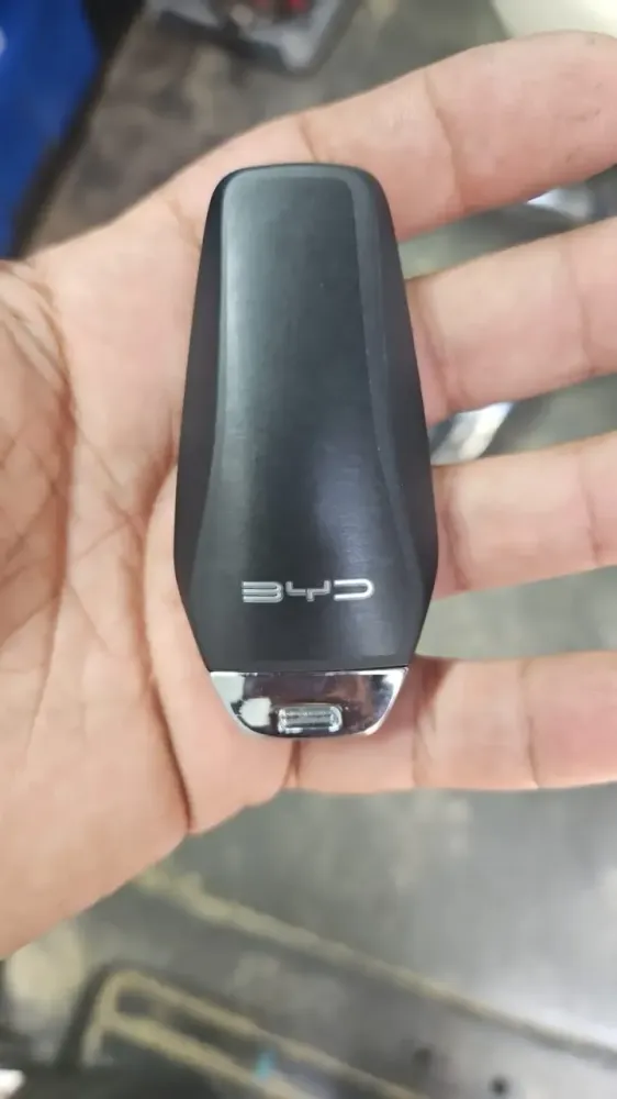 שכפול byd